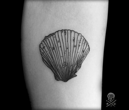 Crystal Mandrigues - Sea Shell